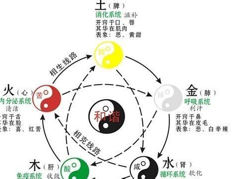 算命 五行|五行查询